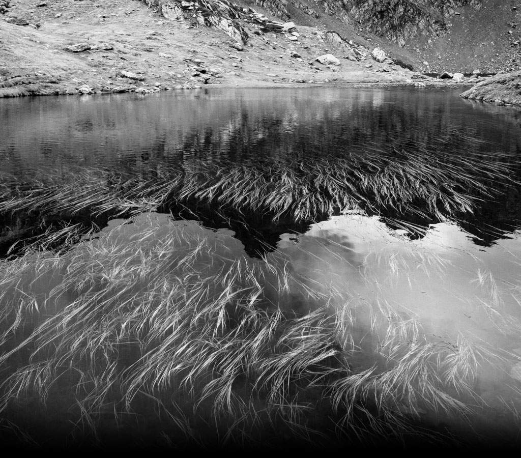 vallée ossau lavs d'ayous